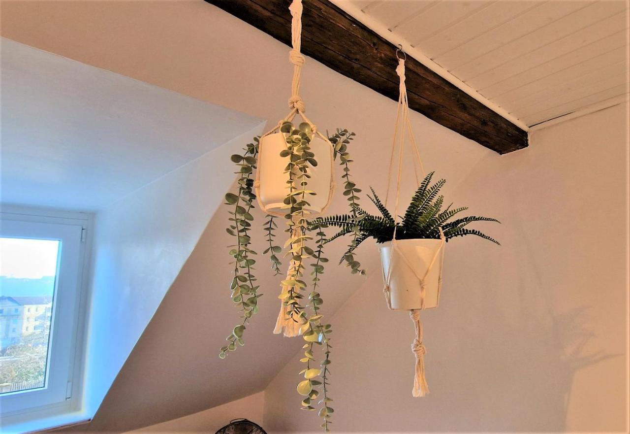 Liebenswertes Apartment 10 Minuten Zur Altstadt كوبلنس المظهر الخارجي الصورة